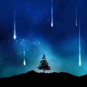 混沌排行榜 头像