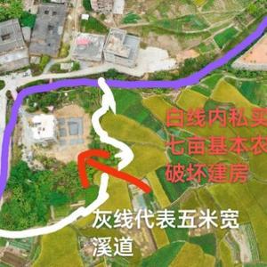 淡定梦想家ew 头像