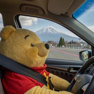 爱玩维尼熊 头像