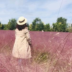 当蓝莓遇上了草莓 头像