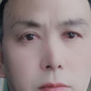 努力的凤人