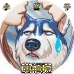 怀揣梦想的九转大肠 头像