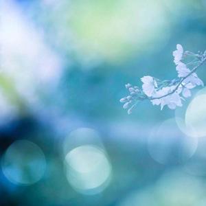 每日新文分享 头像