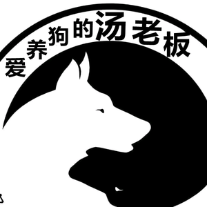 爱养狗的汤老板 头像