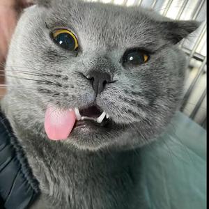 爱生活的小阿Q 头像