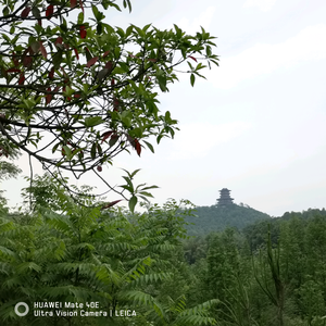 为梦想而努力。。。！ 头像