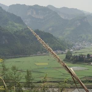 历史探险者刘 头像