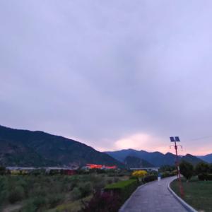 喜欢汉堡的牛 头像