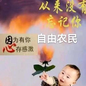 自由农民51