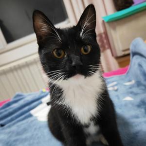 路过心的痕迹 头像