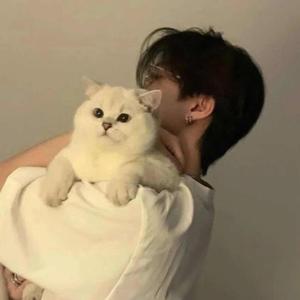 橙橙故事分享 头像