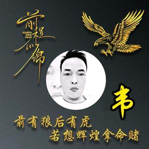 动漫游乐设备韦生 头像