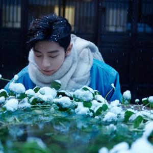 爱美搭的刘猫儿 头像