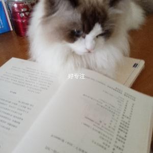 认真的故事小屋
