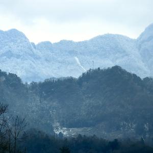 推磨的小姑凉 头像