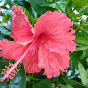 美食养生时间 头像