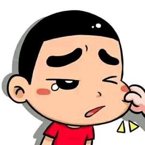 小鹏在西安 头像