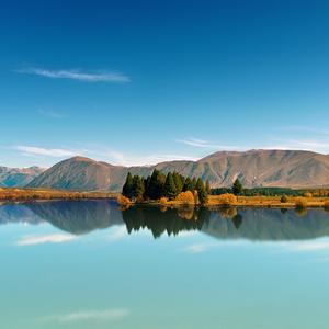 切勿给人忠告 头像