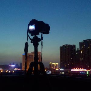 花木丛中的有小天 头像