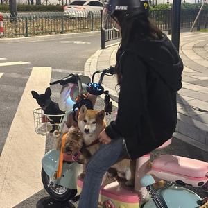 老光棍判官 头像