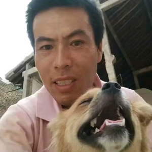 乾县萌宠训犬学堂头像