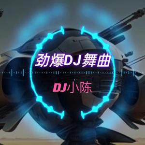 DJ小陈视频同款串烧优盘以上架头像