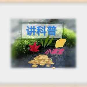 白茶与风
