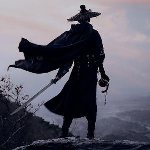 浠黄栖凰之武侠