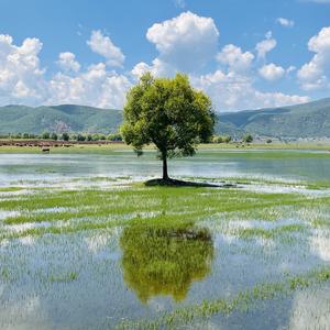 不懂装懂说什么 头像