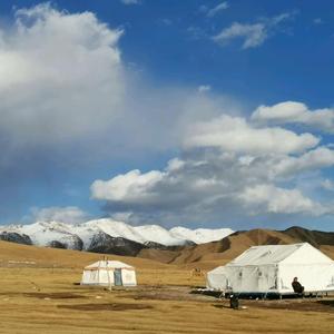 王小虎在装修 头像