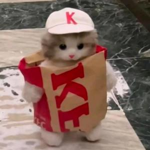 猫meme联盟 头像