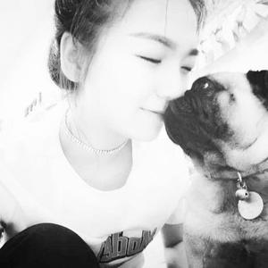 聪明希拉里6q5 头像