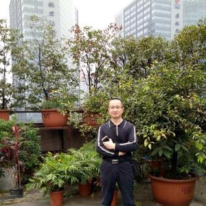 自在海燕I9 头像