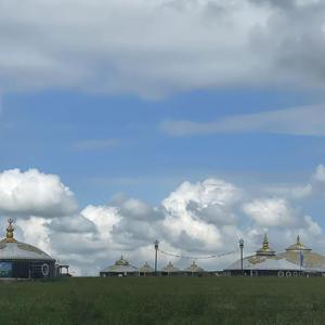 杨哥聊体育 头像