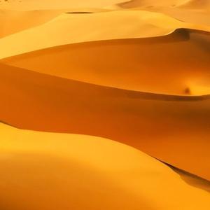 金耳朵山羊 头像