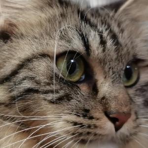 小陈同学今天学习了吗 头像