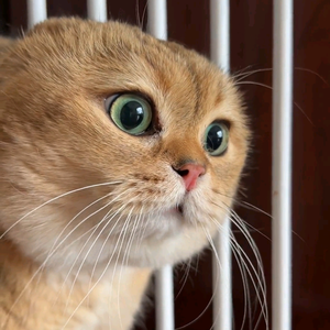 爱生活的小胖儿 头像