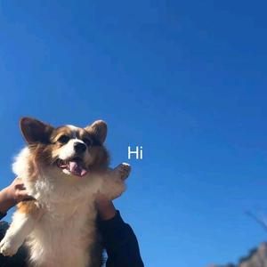 尼泊尔生活 头像