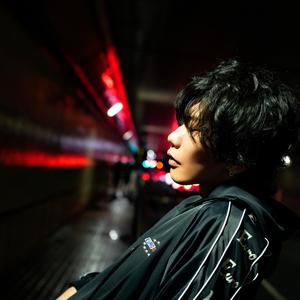 包菜里面没有包 头像