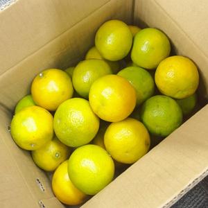 爱喝一点点 头像