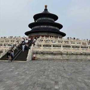 玉树临风的君宝 头像