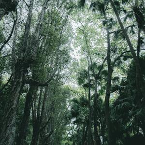 麻瓜的主人 头像