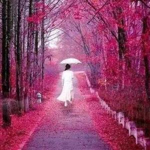 冰封飘雪1 头像