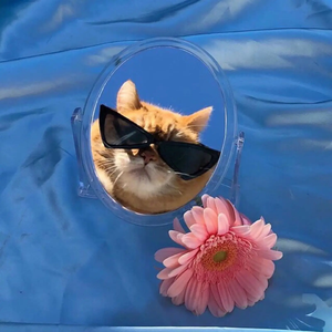 幽默大师兄 头像