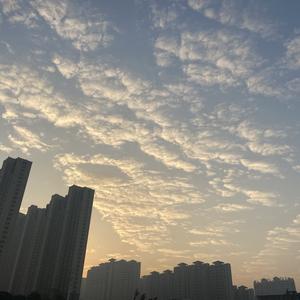 一叶知秋 头像