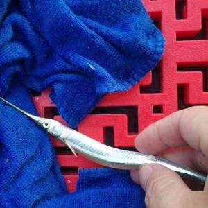 富人流汗穷人点赞 头像