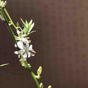 尔无问西东 头像