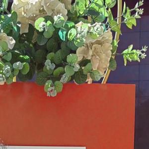 晓肖记录生活 头像