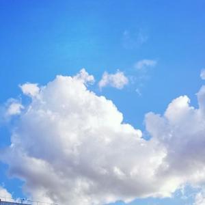 头条问答 天官赐福 花城曾飞升成神 为何最后不当神官反当鬼王 林照水的回答 0赞