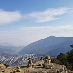 申城大法师 头像